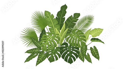 A cluster of lush green tropical leaves on a white background