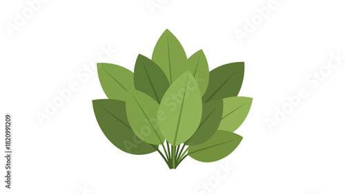 A cluster of overlapping green leaves on a white background