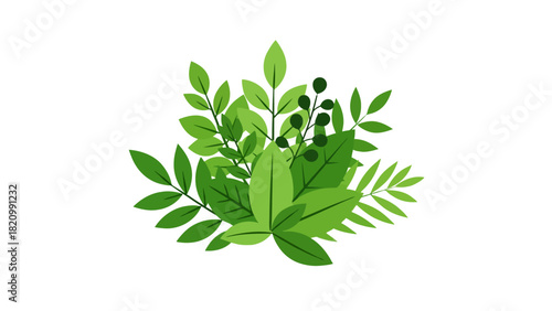 A cluster of green leaves and dark berries against a white background