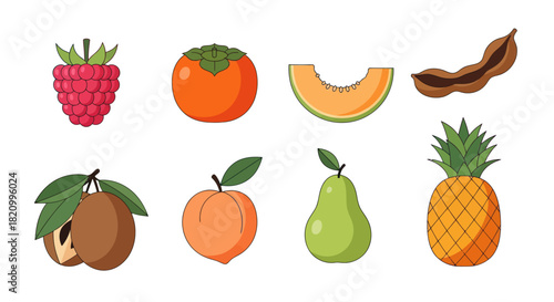 Assortment of colorful fruits raspberry persimmon melon tamarind