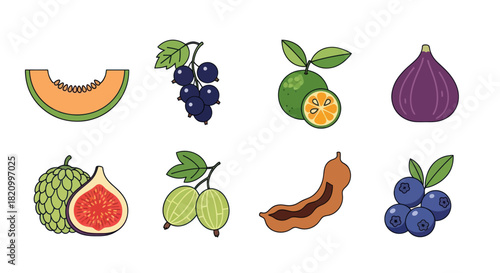 Assortment of various fruits illustrations isolated on a white background