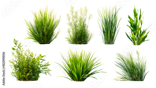 ia generated. Various clumps of green grass in different shapes and sizes, presented isolated on a white background for use in design and landscaping.