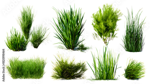 ia generated. Various clumps of green grass in different shapes and sizes, presented isolated on a white background for use in design and landscaping.