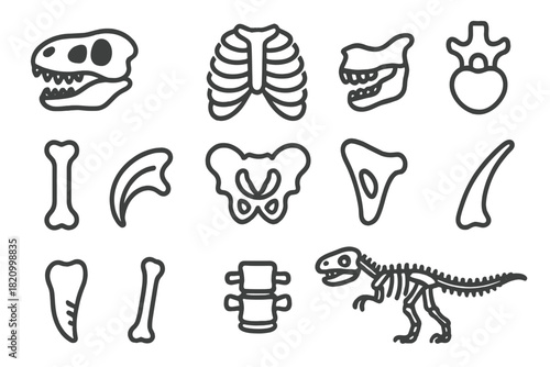 Fossil Anatomy Icons. Line style icons of fossil anatomy: skull, ribcage, jawbone, vertebrae; femur, claw, pelvis, scapula; tooth,