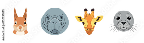 Cute animal faces: squirrel, manatee, giraffe, seal