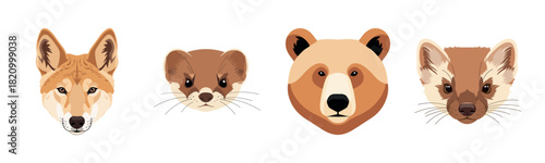 Illustrated animal faces: fox, ferret, bear, weasel - wildlife art collection