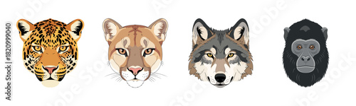 Illustrated faces of leopard, cougar, wolf, and gorilla on white background