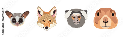 Illustrated faces of lemur, coyote, tamarin, and prairie dog