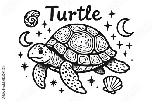 Turtle is drawn in black and white with a shell and a star