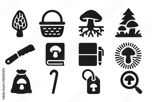 Mushroom Foraging Essentials. Solid style icons of Mushroom foraging essentials: morel, basket, mycelium, forest floor, foraging