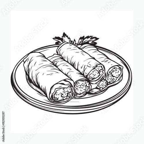 vector illustration of a spring roll