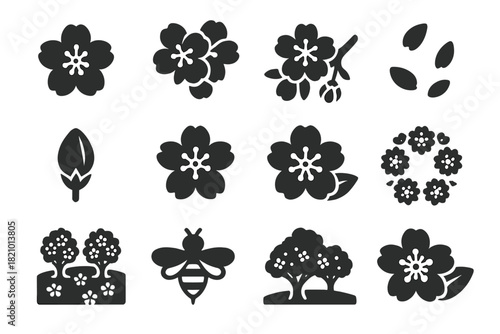 Apple Blossom Icons. Solid style icons of Apple Blossoms: single blossom, cluster bloom, branch with blossoms, falling petals, bud