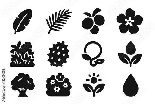 Tropical Icons Set. Solid style icons of Tropical Vegetation: banana leaf, palm frond, coconut cluster, island flower, dense