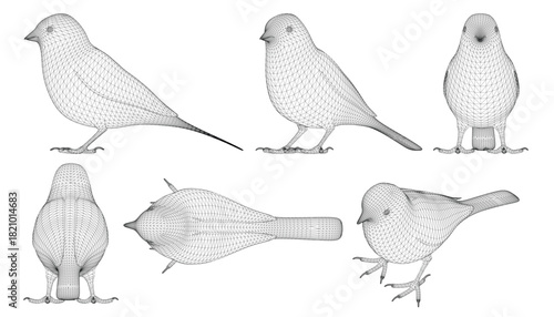 Six wireframe birds including a sparrow are sketched in detail with unique shapes and sizes. The 3D effect gives them a realistic and lifelike appearance on a white background.