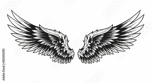 Detailed Illustration of Symmetrical Angel Wings with Intricate Feather Details.
