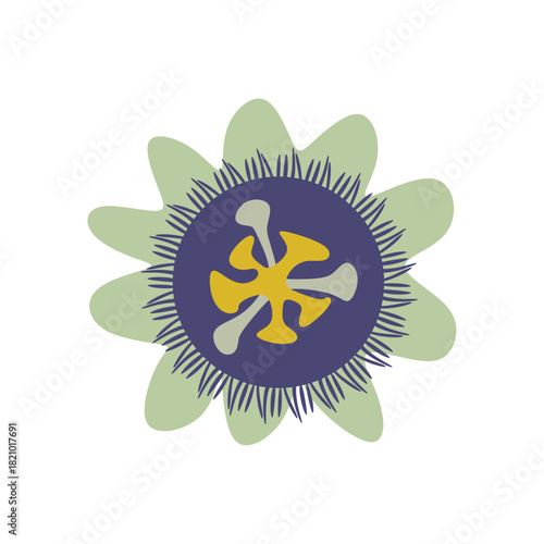 Flat Illustration of Passionflower for Herbal Tea