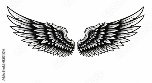 A pair of detailed black and white angel wings spread open.