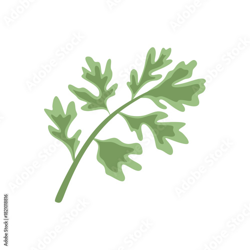 Flat Illustration of Wormwood Plant for Herbal Medicine