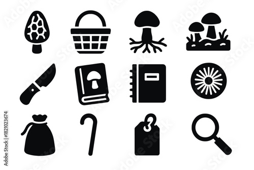 Mushroom Foraging Essentials. Solid style icons of Mushroom foraging essentials: morel, basket, mycelium, forest floor, foraging