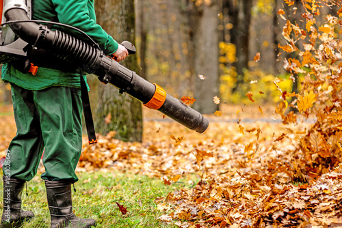 Autumn Leaf Cleaning in the Park