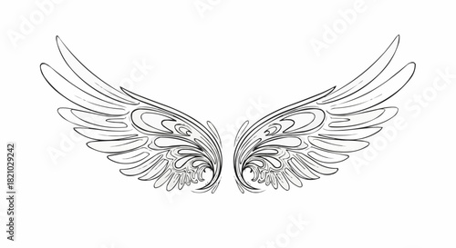 Elegant pair of sketched angelic wings with ornate patterns.