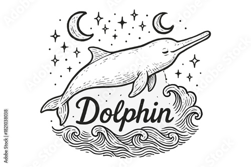 Mystical Dolphin Design. Hand-drawn river dolphin with moons, waves, and sparkles, center word “Dolphin” in black and white