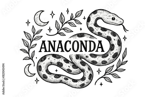 Anaconda and Moons. Hand-drawn anaconda with moons, vines, and sparkles, center word “Anaconda” in black and white isolated