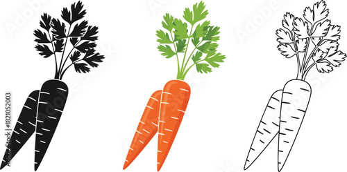Three depictions of carrots with parsley solid color and line art