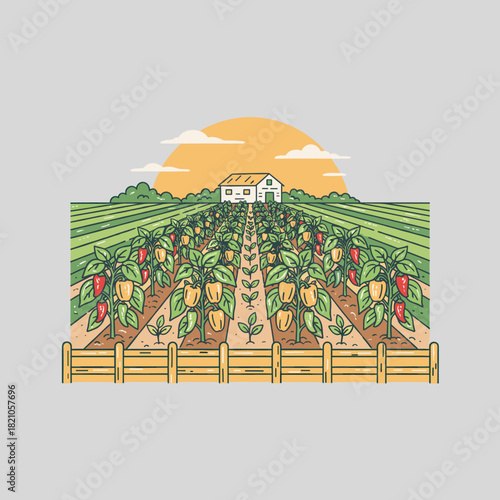 Bell Pepper Farm Landscape.Organic Vegetable Harvest Scene.Farming Vector Illustration Badge.Rural Homestead Garden View.Agriculture Plot Outline Styl