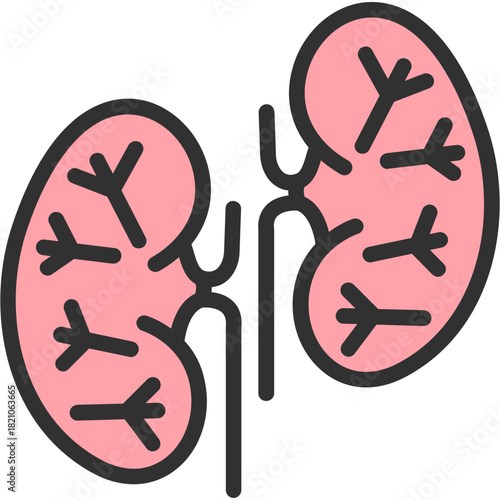Kidneys Icon