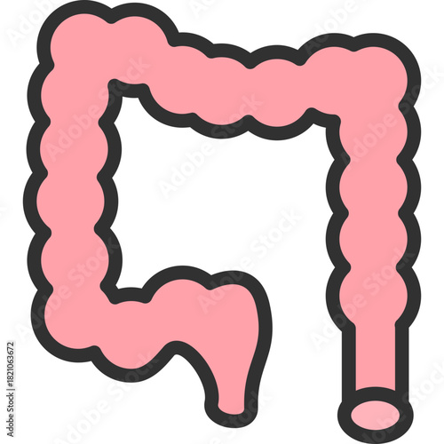 Large Intestine Icon