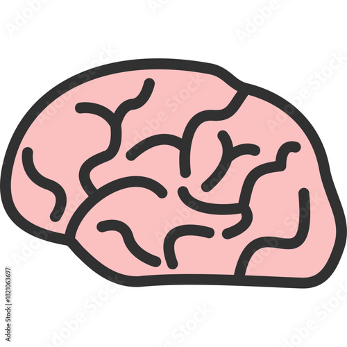 Brain Icon