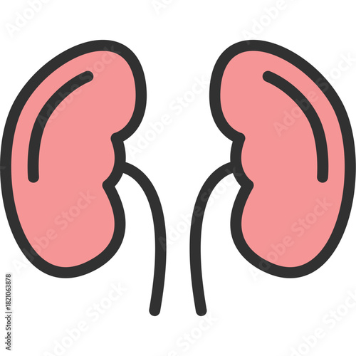 Kidneys Icon
