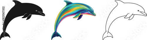 Set of three dolphin illustrations showing a colorful gradient, a solid black silhouette, and a simple outline drawing