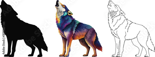 Set of three howling wolf illustrations showing a black silhouette, a colorful watercolor style, and a black outline drawing