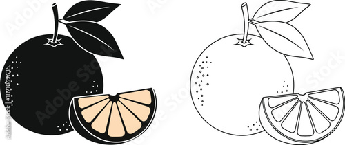 A simple illustration featuring an orange and a clementine both whole and halved