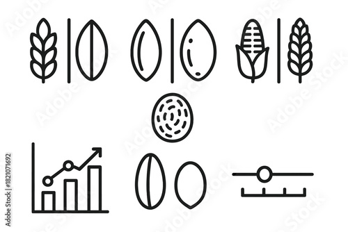 Seed Comparison Icons. Line style icons of seed comparison: modern wheat vs einkorn, rice vs millet, corn vs sorghum, protein