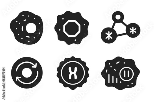 Cellular Senescence Icons. Solid style icons of cellular senescence: aged cell icon, stop sign on nucleus, replication freeze