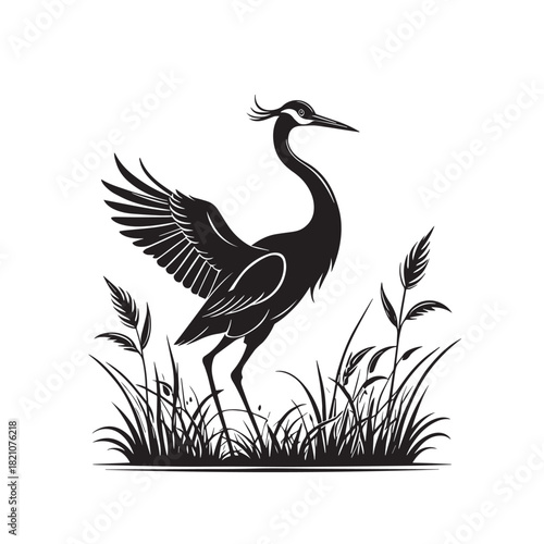 Exotic crane or heron bird
