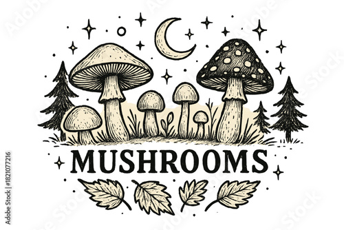 Autumn Mushroom Magic. Hand-drawn mushrooms in autumn with moons, sparkles, and trees, center word “Mushrooms” in black and white
