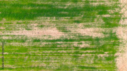Top down aerial view of a grass field with patchy green and dry areas showing the texture of a pasture or meadow from above