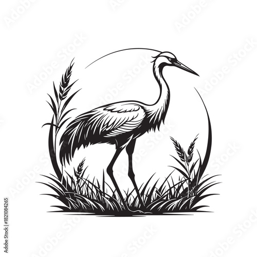 Exotic crane or heron bird
