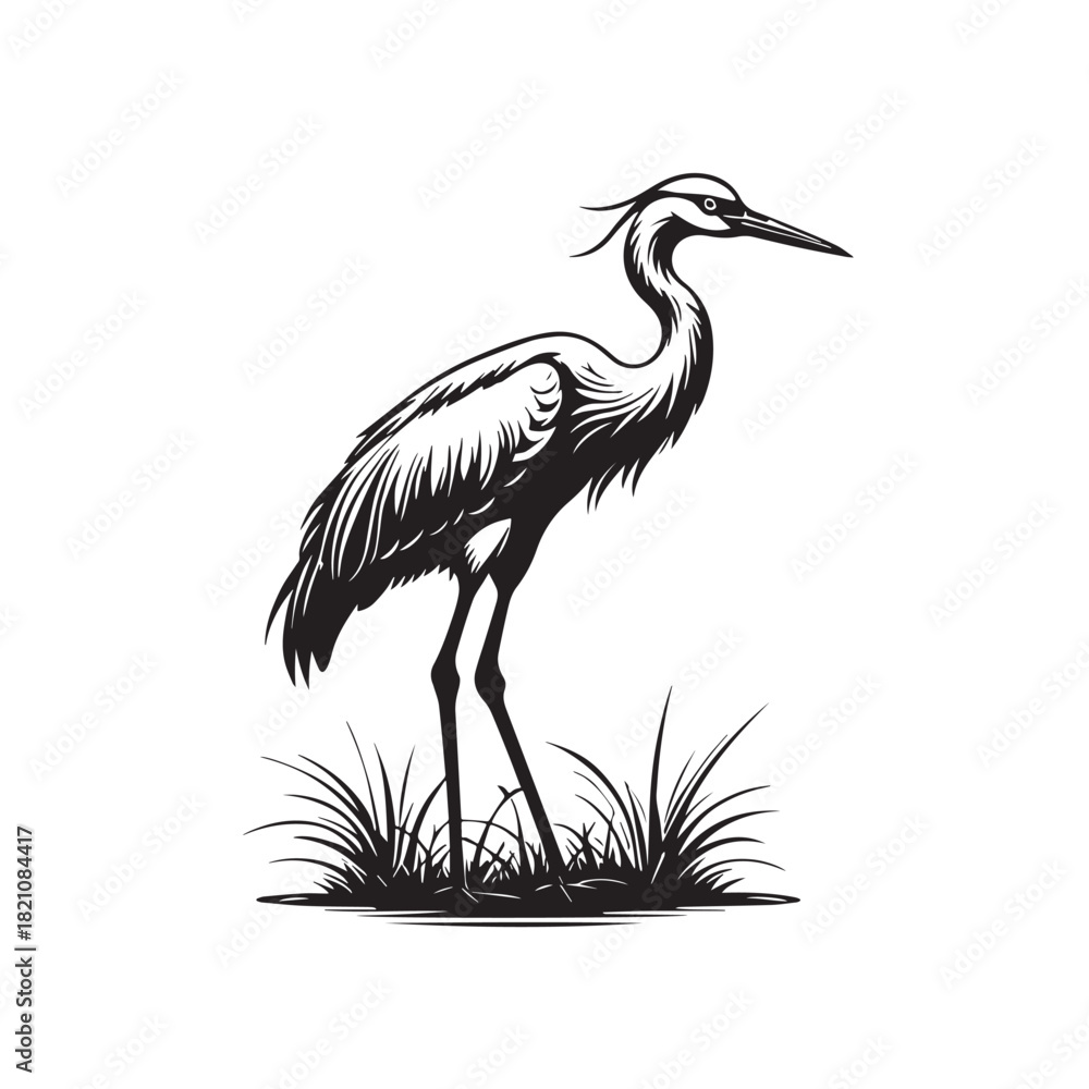 Obraz premium Exotic crane or heron bird 