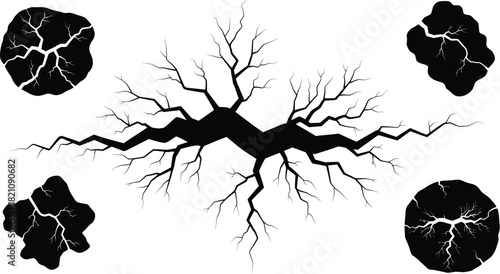 Abstract black and white illustration of branching cracks and foliage shapes