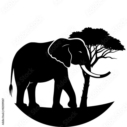 Majestic African Elephant Silhouette Walking on Savanna at Sunset - Vector Wildlife Landscape with Acacia Trees
