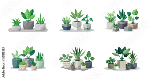 Stylized indoor plant collection in pots with assorted shapes and colors