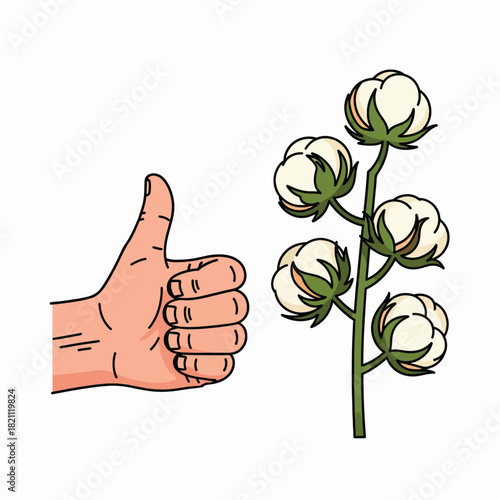 Thumbs Up To Cotton Fiber The Natural Plant Material Ideal For Clothing Manufacturing