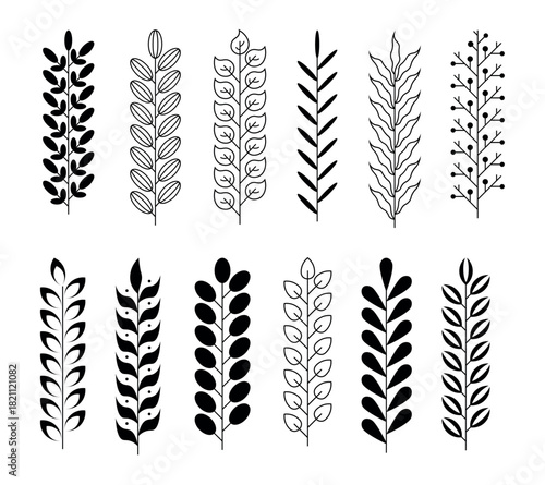 Wheat spike, rye ears set for vector brush. Barley spike, corn ear. Cereal grain spikes icon shape set. Agriculture food logo symbol. Isolated on transparent background. Oat, whey, barley, rye icons