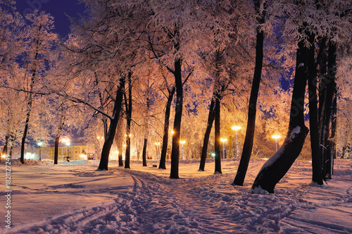Winter night landscape view of the winter night park