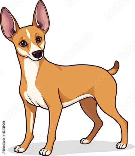  Cute cartoon a illustrator vector Basenji